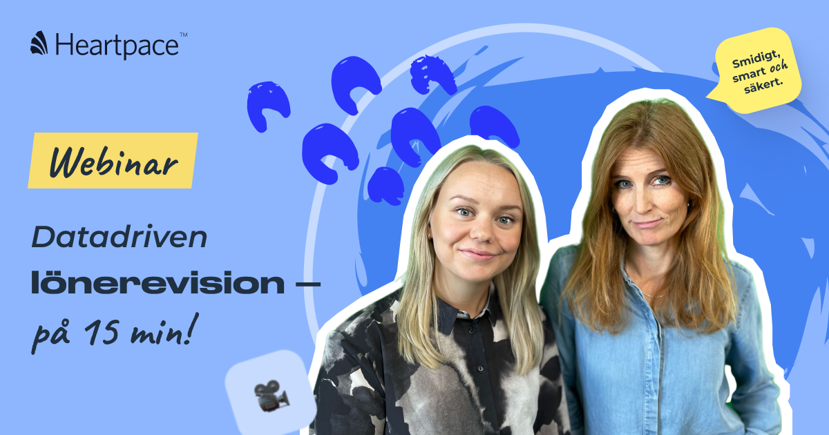 Datadriven lönerevision – på 15 minuter!